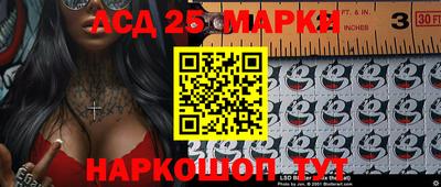 apvp Можга