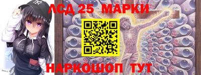 apvp Можга