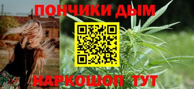 apvp Можга
