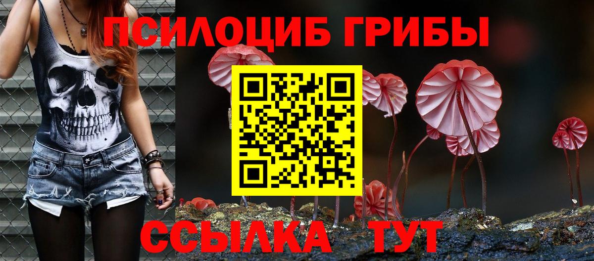 Псилоцибиновые грибы мицелий Улан-Удэ