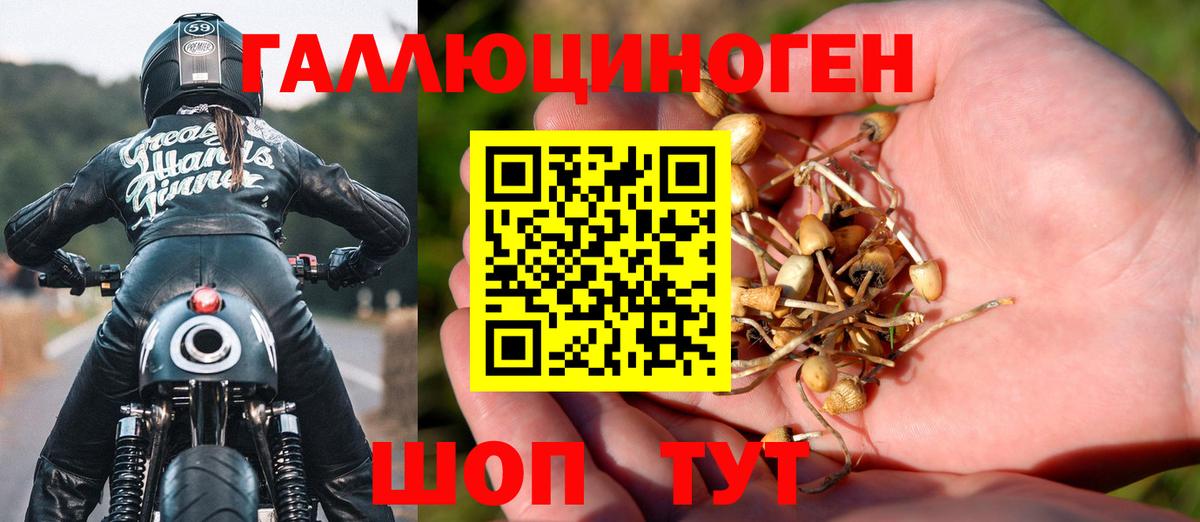 Улан-Удэ  Псилоцибиновые грибы мицелий  Вход с VPN 